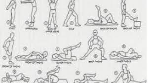 Lakukan latihan kardio atau penguatan otot. Cara Latihan Kelentukan Tubuh Yang Benar Zona Pelatih