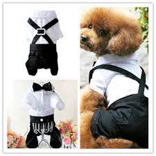 Maybe you would like to learn more about one of these? Hund Kleidung Fruhling Und Sommer Hosen Haustier Hochzeitskleid Anzug Fur Hunde Kleine Hund Overalls Strampler Clothes Dresses Dress Numberdress Sweetheart Aliexpress