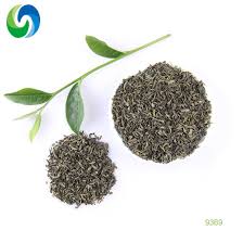 The organic mint green tea has a fresh and cleansing green tea flavor that makes each sip smooth and highly enjoyable. 9369 9368 9367 9366 3008 Chunmee Green Tea Brands China Green Tea Organic Tea Made In China Com