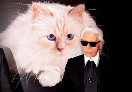 Karl lagerfeld was born on september 10, 1933 in hamburg, germany as karl otto lagerfeldt. Karl Lagerfeld Non Son Chat Choupette N Heritera Pas De Sa Fortune Elle
