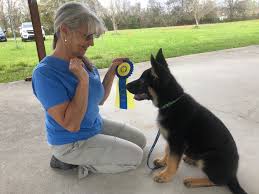 13, 2018, file photo, handler bill mcfadden poses for photos with flynn, a bichon frise, after flynn won best in show during the 142nd westminster kennel club. Far Fetched Tales Akc Star Puppy