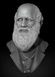 Snaps i took in darwin, few years ago. My fav is the designs in the bark of  the tree