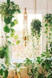 For greenhouse kits with a basic steel tubing frame, the average price is $200 per set while high end kits with galvanized steel framing can cost as much as $10,000. 11 Greenhouse Design Ideas To Flex Your Green Thumb In Style