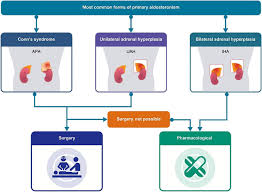 Image result for Hyperaldosteronism