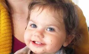 Fundraiser for Stephenie Schauberger by Mallory Marie : Rally For Remmy