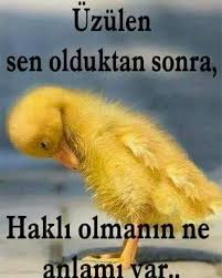 Pin By Her Seyden Biraz On Anlamli Sozler Online Survey Tools Meaningful Words Online Form Builder