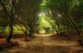 Maybe you would like to learn more about one of these? Destinasi Wisata Pantai Cemara Sewu Yogyakarta Tempat Wisata Terbaik Di Indonesia