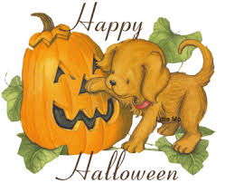 Image result for happy halloween