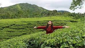 Maybe you would like to learn more about one of these? Kebun Teh Tambi Harga Tiket Masuk Spot Foto Terbaru 2021