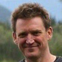 Julius Strauss: British journalist