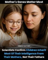 Wow Amazing Sunset 😲