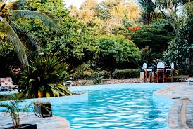 But even those away from the equator can get in on the fun with the right choice of plants and. Landscaping Around Your Pool For Privacy In Dallas Lawnstarter