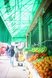 Meet Ben Silberstein