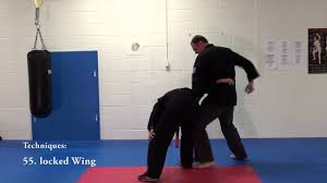 Blue Belt Requirements Sska Kenpo Karate Blue Belt Kenpo