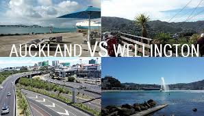 Living concept entwickelt seit über 20 jahren mit verstand und leidenschaft werbliche kommunikation für marken und unternehmen. Auckland Vs Wellington Why We Chose To Live In Nz S Capital