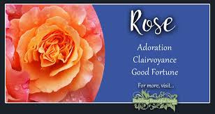 Maybe you would like to learn more about one of these? Rose Meaning Symbolism June Birth Flower Flower Meanings
