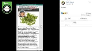 Kedua vitamin ini berperan sebagai antioksidan yang mampu menangkal radikal bebas penyebab penyakit kanker dalam tubuh. Cek Fakta Mengonsumsi Daun Pakis Berbahaya Karena Memicu Kanker Ini Faktanya Cek Fakta Liputan6 Com
