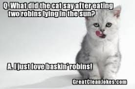 Memes are a combination of smart texts and funny images. 20 Funny Cat Memes Clean Images Pictures Picss Mine