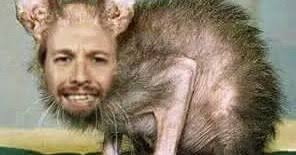 Podemos Chistes y Memes: La rata mutante de podemos