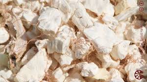 Les Bienfaits Du Fruit De Baobab Appele Aussi Pain De Singe Ou Bouye Au Senegal La Vie Senegalaise Senegal