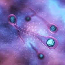 Image result for Tetanus