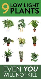Pin On Home Decoration