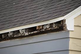 Listening to a conversation in which the listener is not directly involved. Gutters Dykstra Knight Roofing