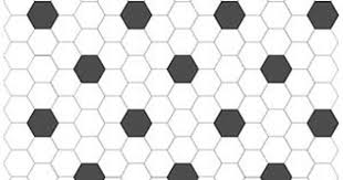 American Olean Satinglo Hexagon Mosaic Hexagonal Mosaic Shower Remodel Bathrooms Remodel