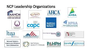 He completed a fellowship in cardiology and interventional cardiology at suny downstate. Clinical Practice Guidelines For Quality Palliative Care Th