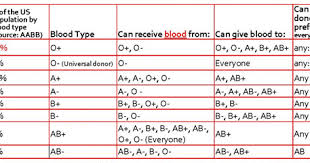 Bloodtype What Type Are You