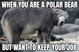 One furry creature who found himself in the. View 9 Coca Cola Polar Bear Less White Meme