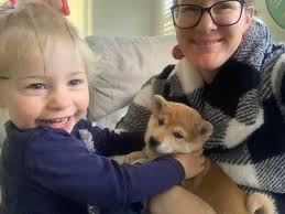 Bear and Fox Shiba Inu