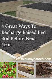 4 Great Ways To Recharge Raised Bed Soil Before Next Year Raised Garden Beds Diy Vegetables Compost Soil Vegetable Garden Raised Beds