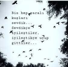 Ulku Berber Adli Kullanicinin Edebiyat Panosundaki Pin Guzel Soz Hayaller