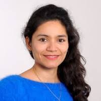 1100+ «Pezet» profiler