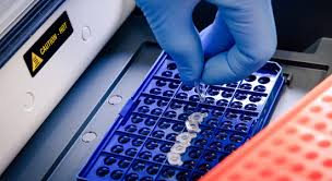 Xl dynamics is privately held corporation providing it, audit & quality control outsourcing solutions to a defined clientele in the us mortgage industry. Temporal Dynamics Of Air Bacterial Communities In A University Health Centre Using Illumina Miseq Sequencing Aerosol And Air Quality Research