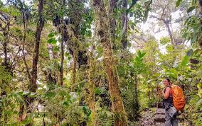 Maybe you would like to learn more about one of these? Santa Elena Reserve In Monteverde Costa Rica Vibes