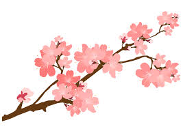 Maybe you would like to learn more about one of these? Transparent Sakura Flowers Png Novocom Top