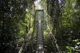 Photo gallery to an article 20 best places to visit in malaysia. Gunung Mulu National Park Malaysia Facts Location Best Time To Visit