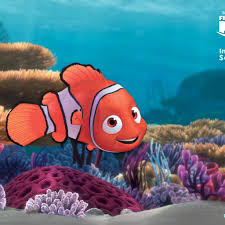 Find the best finding nemo wallpaper on wallpapertag. Nemo Wallpapers Top Free Nemo Backgrounds Wallpaperaccess