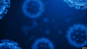 Ein blick in ein labor in hessen. 8 1 Percent Of Covid 19 Tests Come Back Positive 10 More Dead