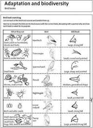 Access to all gizmo lesson materials, including answer keys. 340 Biology Ideas Teaching Science Biology Teaching Biology