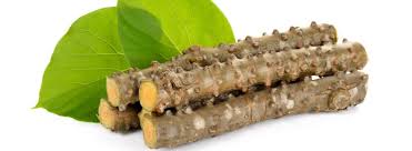 Image result for Tinospora