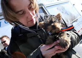 Student activists for animal rights take to the Quad to protest mills