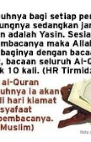 Penghuni syurga pada hari kiamat sibuk dengan. Surat Yasin Lengkap 83ayat Arab Latin Dan Arti Surat Yasin 83 Ayat Lengkap Arab Latin Dan Arti Wattpad