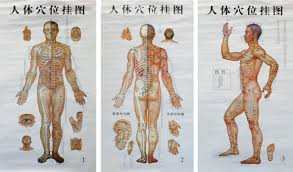 3 In 1 Acupuncture Chart Chinese English Massage Spa