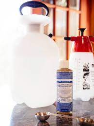 Homemade soap making is my number one passion, so if i have a day to do nothing, i'll just make it all day. Get Rid Of Pests With This 2 Ingredient Homemade Insecticide Garden Betty