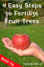 We did not find results for: Fruit Tree Fertilizer How To Make And Apply Homemade Fertilizer Fruit Trees In Containers Fruit Trees Growing Winter Vegetables