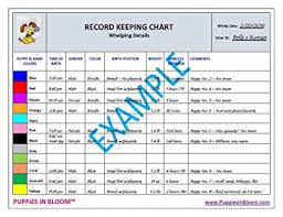 Puppies In Bloom Record Keeping Charts For Breeders With 8 Inch Puppy Id Bands Included