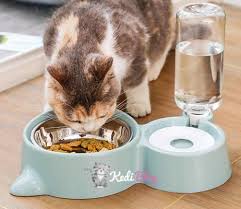 Otomatik Kedi Mama Ve Su Kabi Nasil Calisir En Iyi 5 Otomatik Mama Kabi Kedi Blog